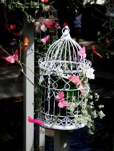 Perseguir un sueño (Fira de la Flor, Girona, maig 2012) PERSIGUE TUS SUEÑOS