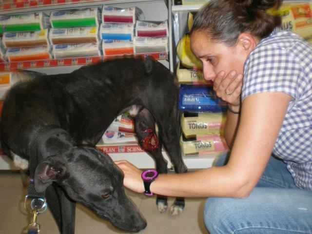 BLUES un caso extremo BLUES un caso extremo