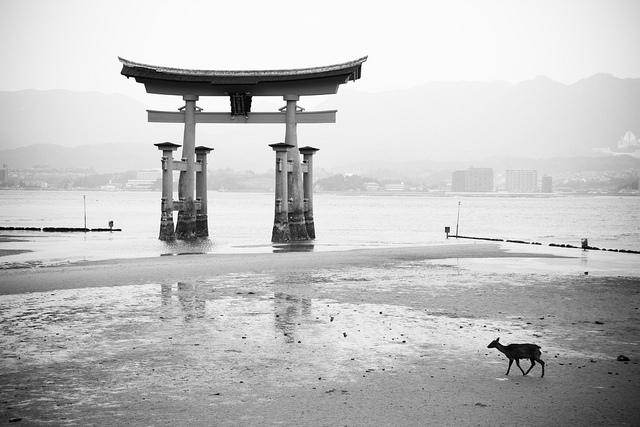 Miyajima