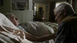 7 imágenes, 7 series (CXIV) 7 imágenes, 7 series (CXIV)