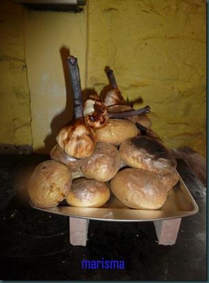 fiesta Beni4 copia fiesta Beni4 copia