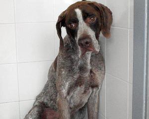 Lucho, la tristeza se refleja en su mirada Lucho, la tristeza se refleja en su mirada