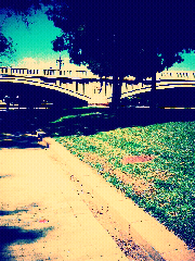 Proyecto 365 Proyecto 365