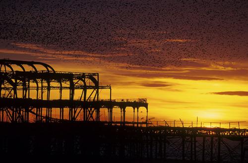 firsttimeuser: Brighton West Pier.. firsttimeuser: Brighton West Pier..