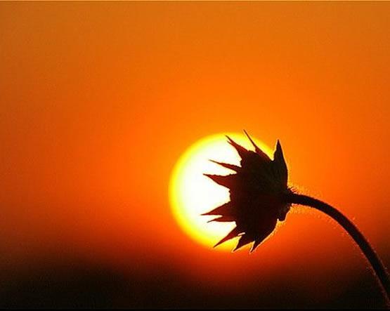 Que no pase de moda la esperanza Que no pase de moda la esperanza