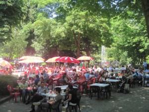 Martes de Campo Oviedo: Terrazas bar del Parque San Francisco