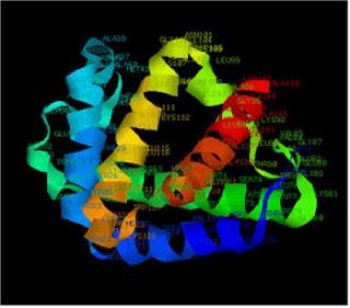 Idea Premiada Idea Premiada