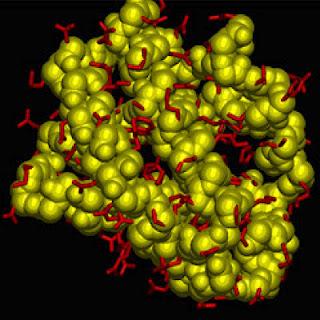 Idea Premiada Idea Premiada