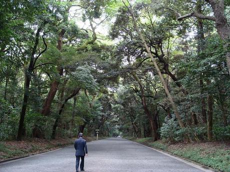 Templo Meiji Jingu 明治神宮 Templo Meiji Jingu 明治神宮