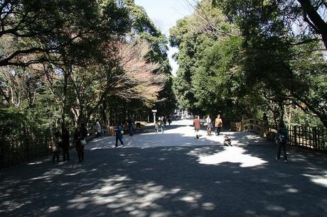 Templo Meiji Jingu 明治神宮 Templo Meiji Jingu 明治神宮
