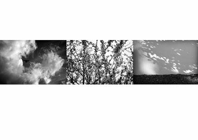 Silvia Prió Silvia Prió