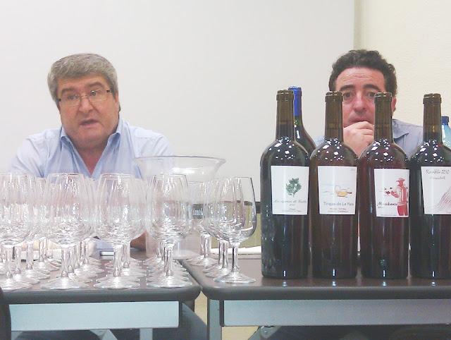 ¿QUÉ ES UN VINO HIPPIE? ¿QUÉ ES UN VINO HIPPIE?