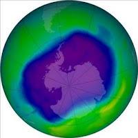 5 DE JUNIO: DÍA MUNDIAL DEL MEDIO AMBIENTE 5 DE JUNIO: DÍA MUNDIAL DEL MEDIO AMBIENTE