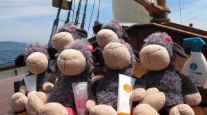 Jolly de Nici IV Trofeo Vela Carla Bulgaria Roses Beauty