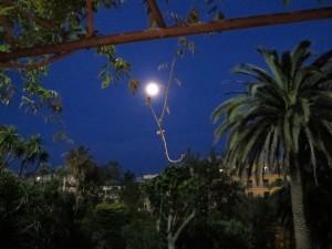 Terraza Hotel Guitart Monterrey IV Trofeo Vela Carla Bulgaria Roses Beauty