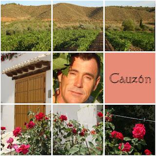 Cauzon, vinos naturales del Norte de Granada Cauzon, vinos naturales del Norte de Granada