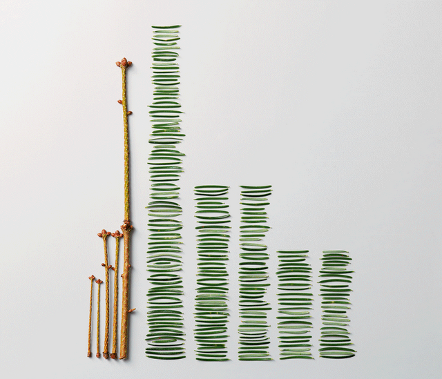 Ordenando... Ordenando...