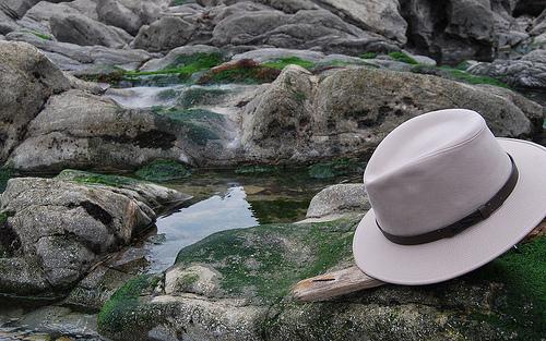 Fondo de Pantalla de Sombrereria Albiñana Sombreros para su ordenador