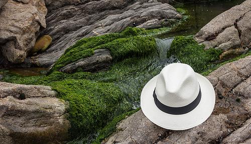 Fondo de Pantalla de Sombrereria Albiñana Sombreros para su ordenador