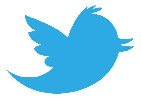 twitter logotipo