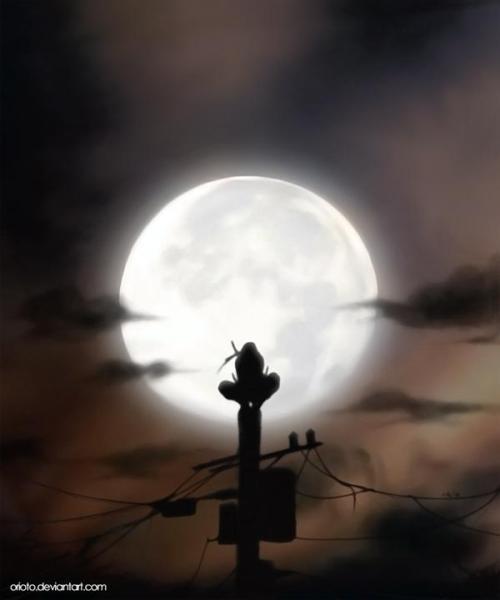 Ninja en la noche Ninja en la noche