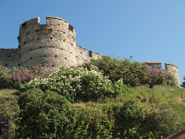 Castillo de Devín Castillo de Devín