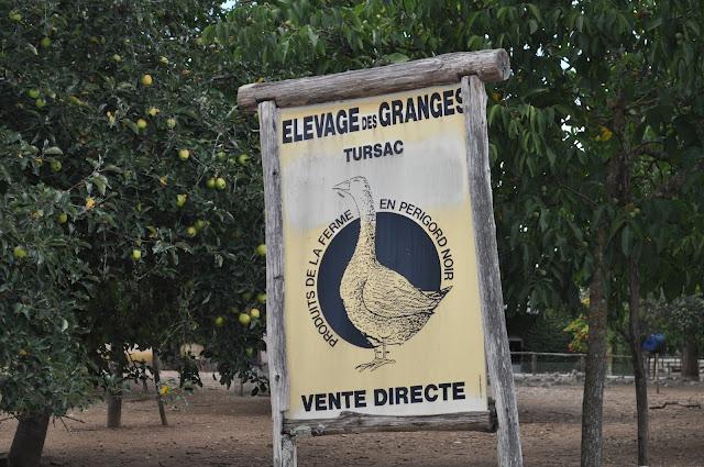 PERIGORD NEGRO (II): RUTA POR EL VALLE DEL DORDOGNE PERIGORD NEGRO (II): RUTA POR EL VALLE DEL DORDOGNE
