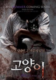 THE CAT THE CAT