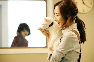 THE CAT THE CAT