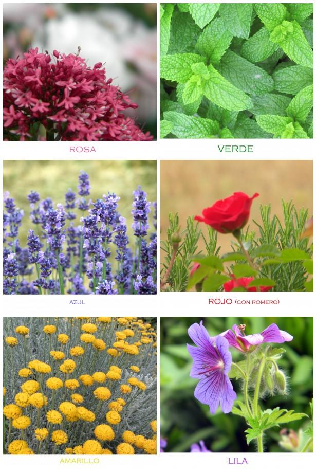 coloresdetox Lunes Detox