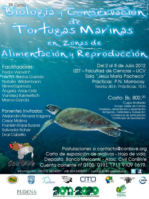 Curso 'Biología Conservación Tortugas Marinas Zonas Alimentación Reproducción'