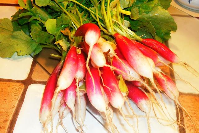 RECETARIO ...........(De La Huerta).- RECETARIO ...........(De La Huerta).-
