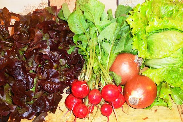 RECETARIO ...........(De La Huerta).- RECETARIO ...........(De La Huerta).-