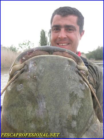WELS CATFISH WELS CATFISH PESCA DE SILUROS EN MEQUINENZA
