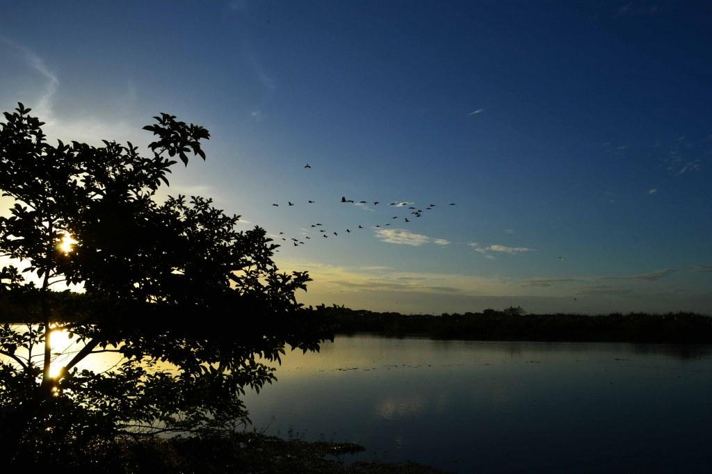 Mi primera vez en Los Llanos