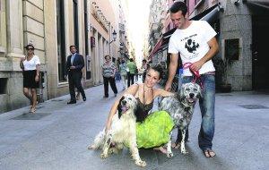 Perros de 'usar y tirar' Perros de 'usar y tirar'