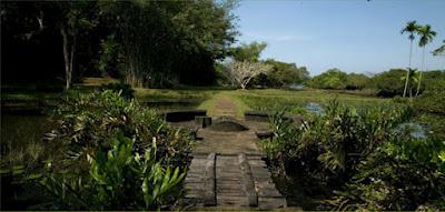 Jardines exóticos: Lunuganga Jardines exóticos: Lunuganga