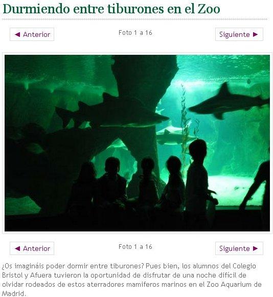 Los tiburones no son mamíferos Los tiburones no son mamíferos