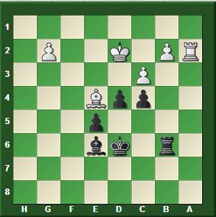 Bravo Magnus! Bravo Magnus!