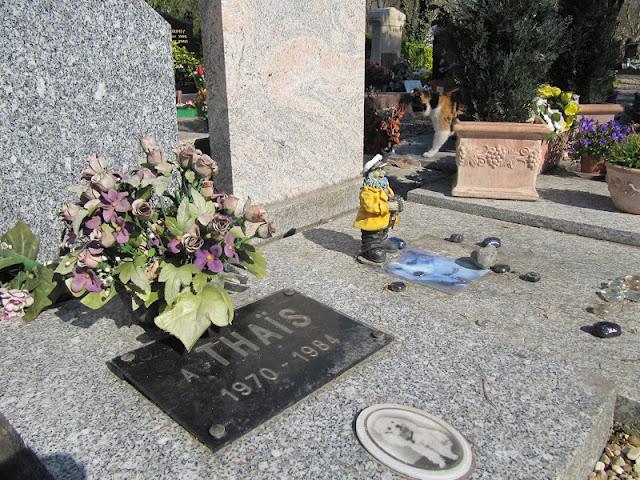 UN LUGAR EXTRAÑO: EL CEMENTERIO DE ANIMALES DE ASNIÈRES UN LUGAR EXTRAÑO: EL CEMENTERIO DE ANIMALES DE ASNIÈRES