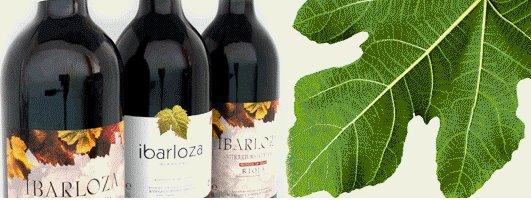 ibarloza 1 Vino Ecológico Ibarloza