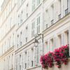 Paris in Pink, Paris Photograph, White and Cream, Flowers, Spring,... Hoy: En rosa y negro