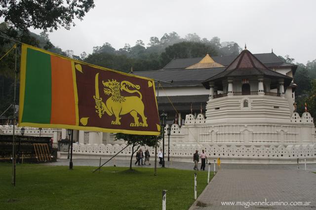 Qué hacer y ver en Sri Lanka