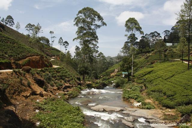 Qué hacer y ver en Sri Lanka