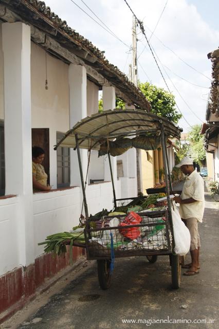 Qué hacer y ver en Sri Lanka