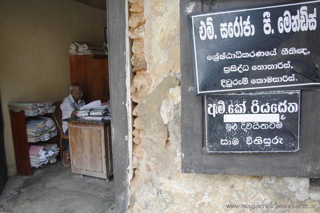 Qué hacer y ver en Sri Lanka