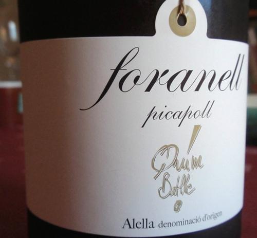 Quím Batlle foranell picapoll 2010 Quím Batlle foranell picapoll 2010