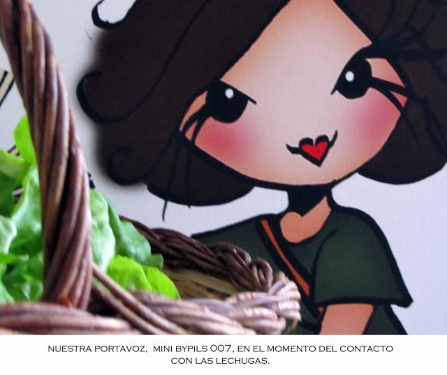 minilechugas Declaración.