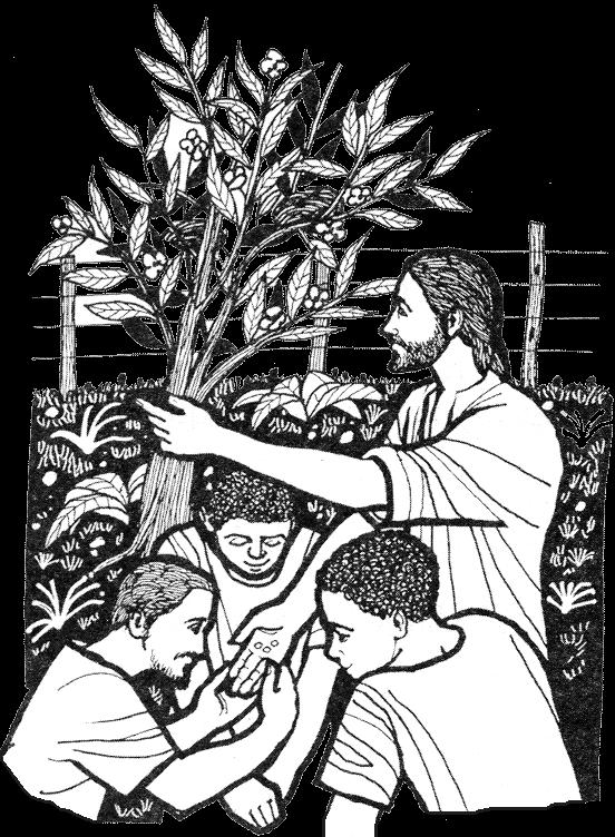 EVANGELIO DOMINICAL EN IMÁGENES: 17 de Junio del 2012 EVANGELIO DOMINICAL EN IMÁGENES: 17 de Junio del 2012
