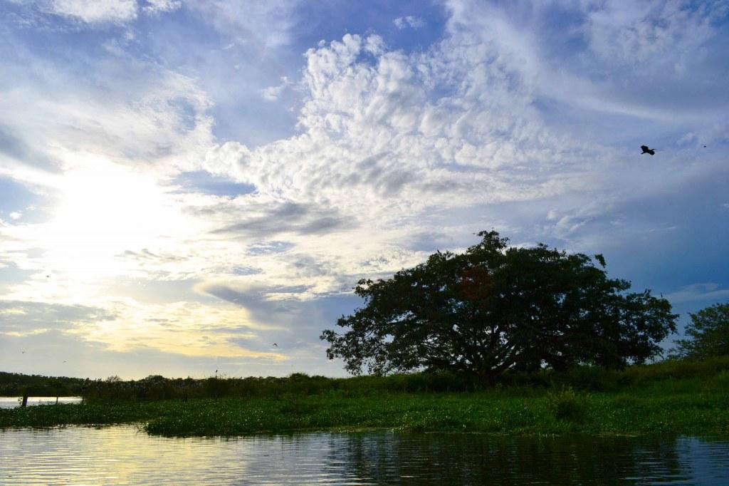 Un vistazo a Barinas Un vistazo a Barinas
